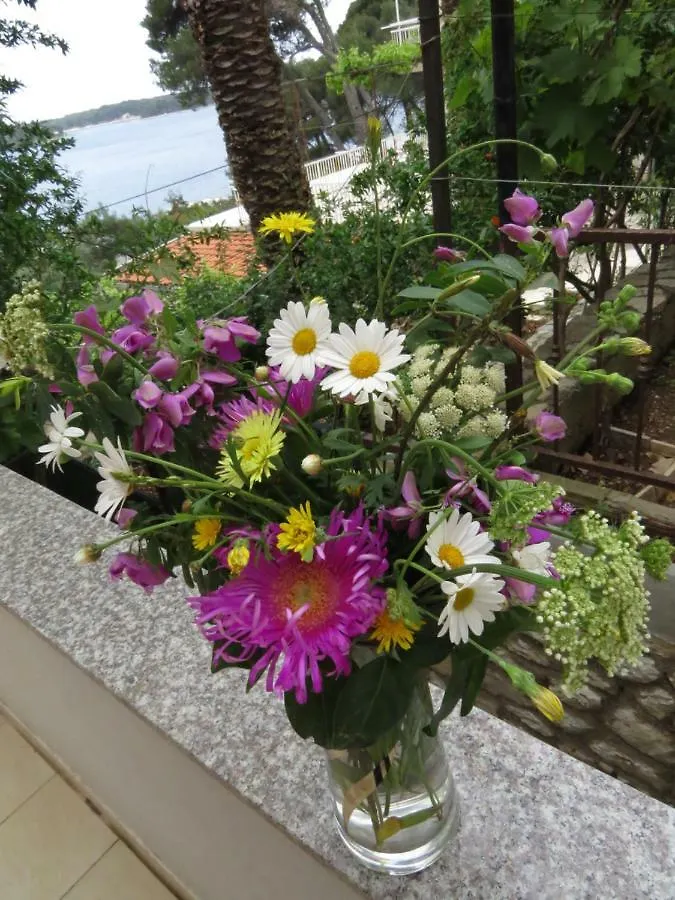 Great Apartment Mali Losinj 0*,  Croatia